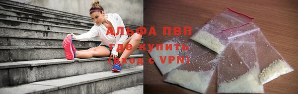 молекула духа Каменногорск