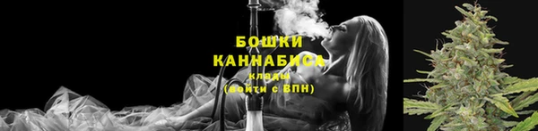 амф Карпинск