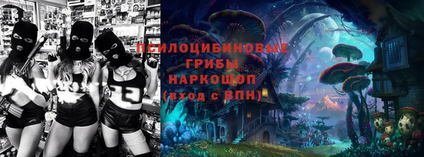 молекула духа Каменногорск