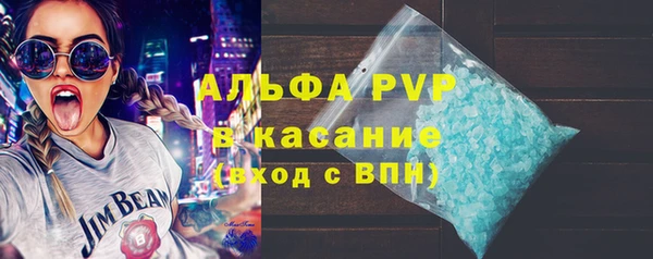 молекула духа Каменногорск