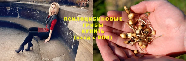 кокаин премиум Каменка