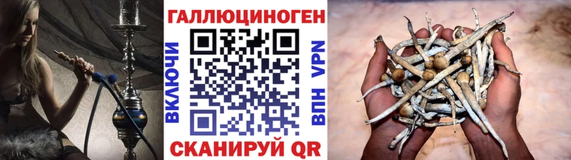 Галлюциногенные грибы ЛСД  Клинцы 