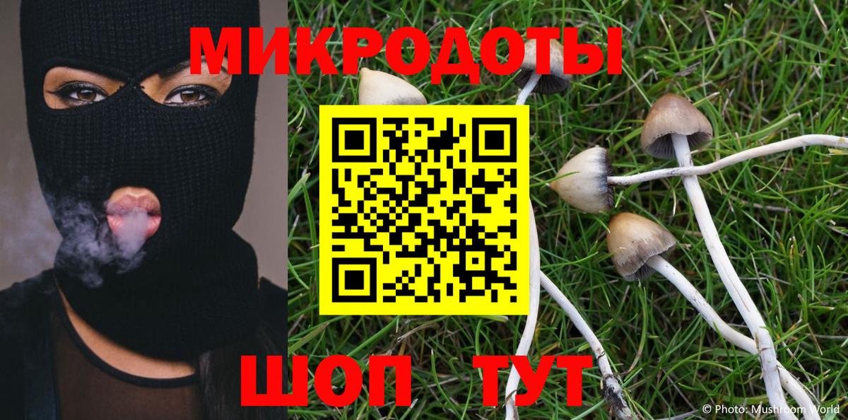 Галлюциногенные грибы Psilocybine cubensis Клинцы